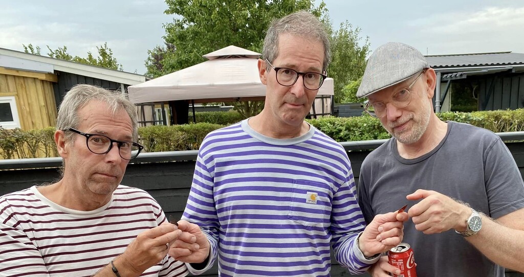 Nice Little Penguins